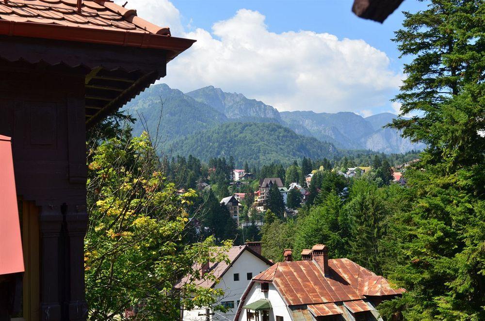 Vila Arizto Sinaia Exteriör bild