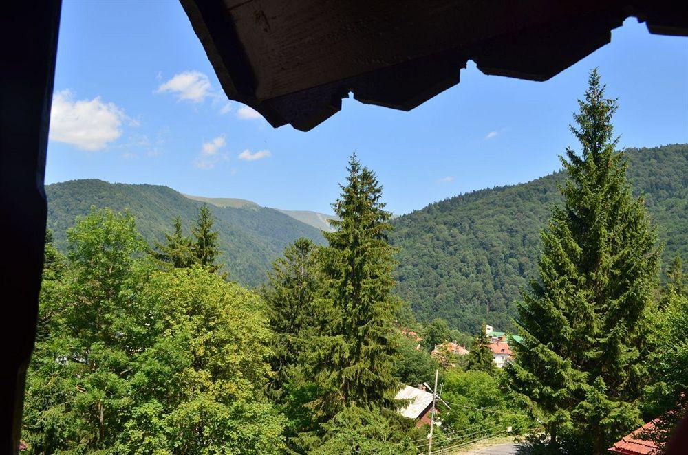 Vila Arizto Sinaia Exteriör bild