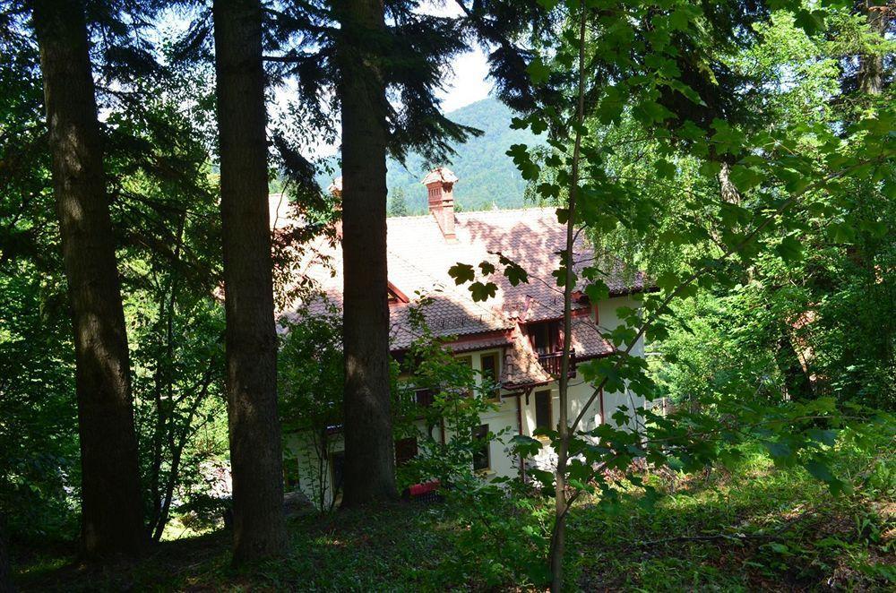 Vila Arizto Sinaia Exteriör bild