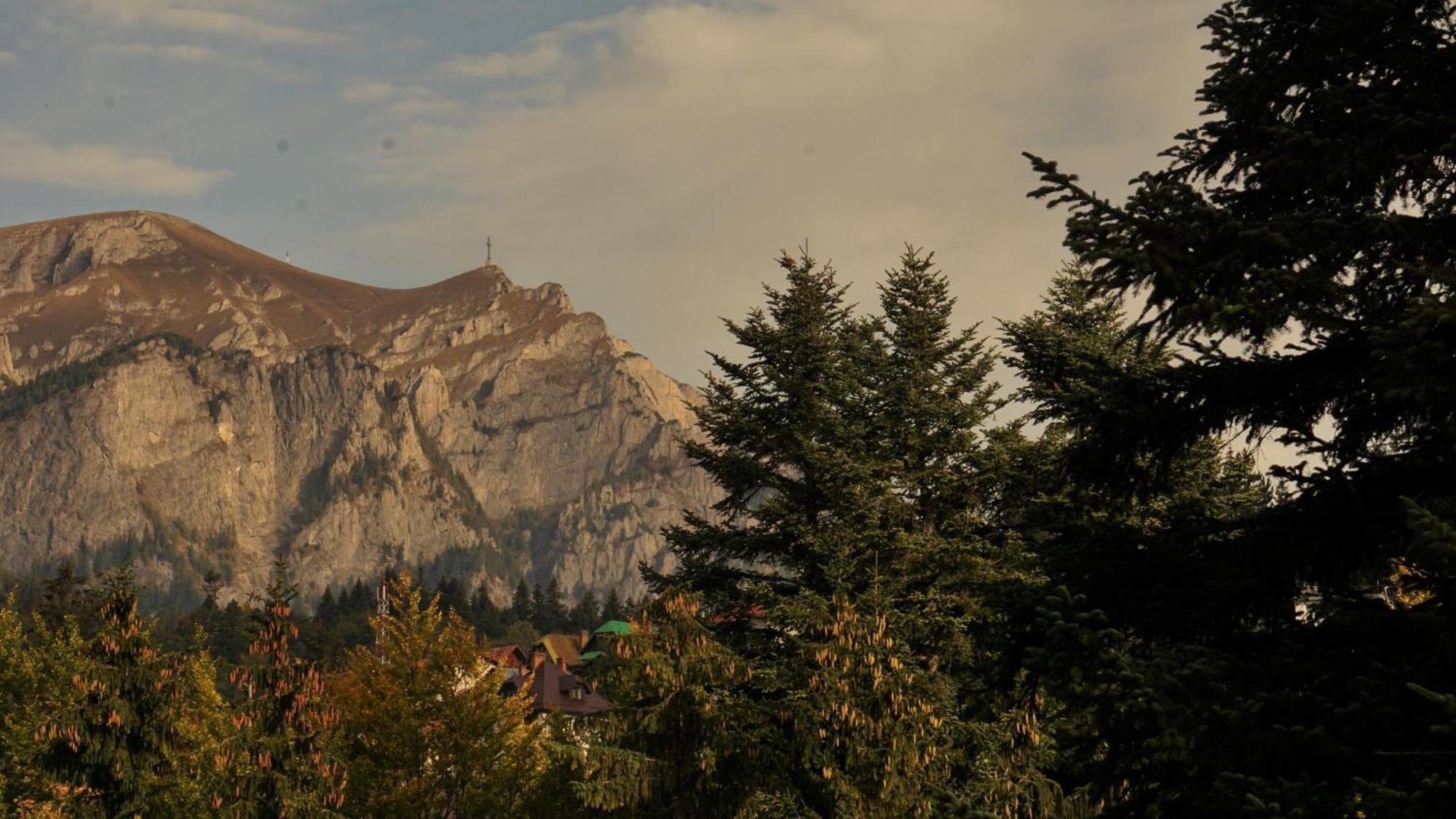 Vila Arizto Sinaia Rum bild