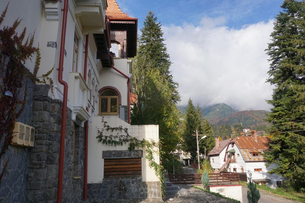 Vila Arizto Sinaia Exteriör bild