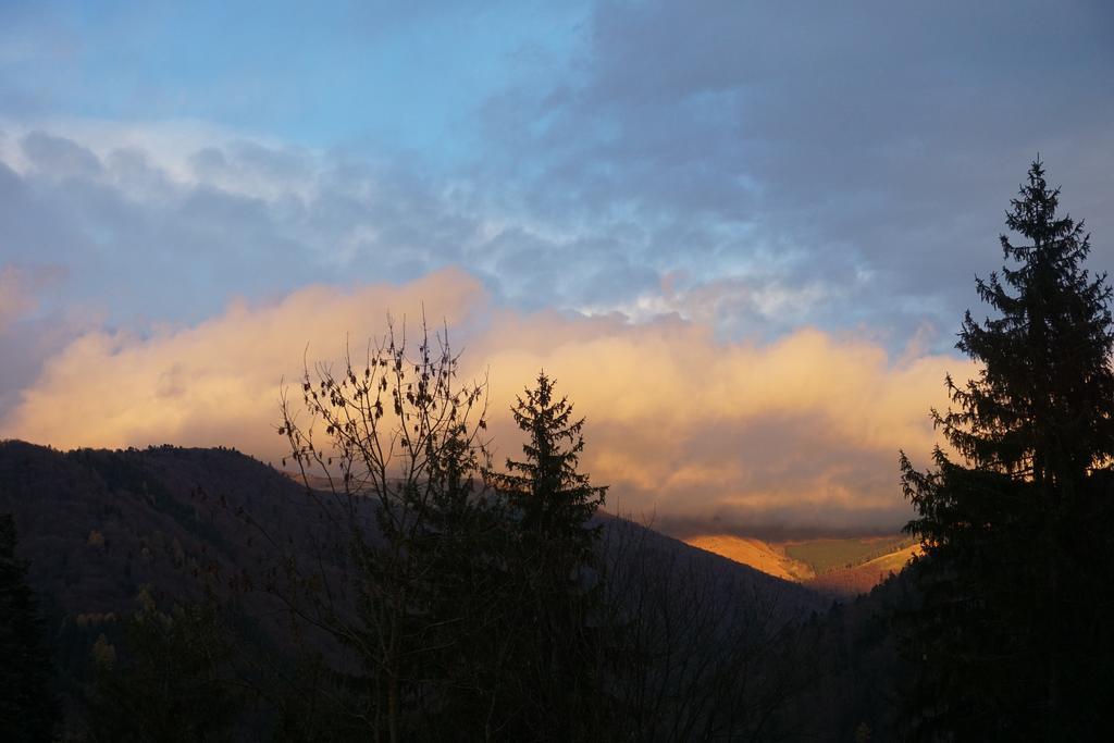 Vila Arizto Sinaia Exteriör bild