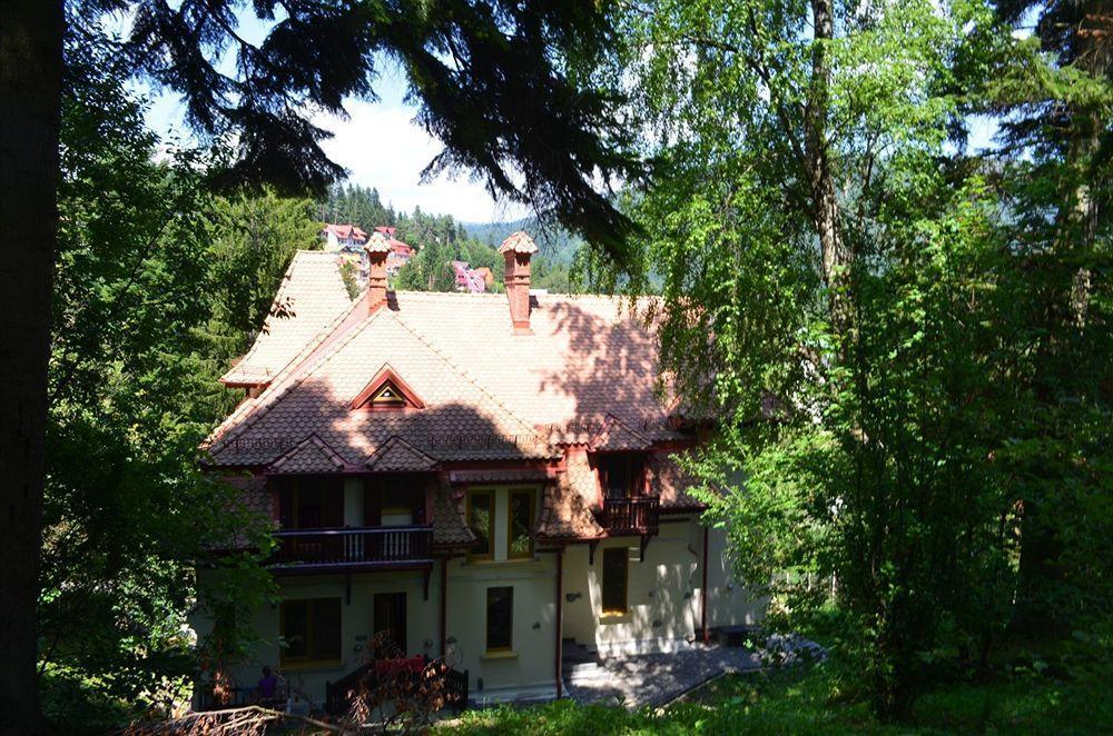 Vila Arizto Sinaia Exteriör bild