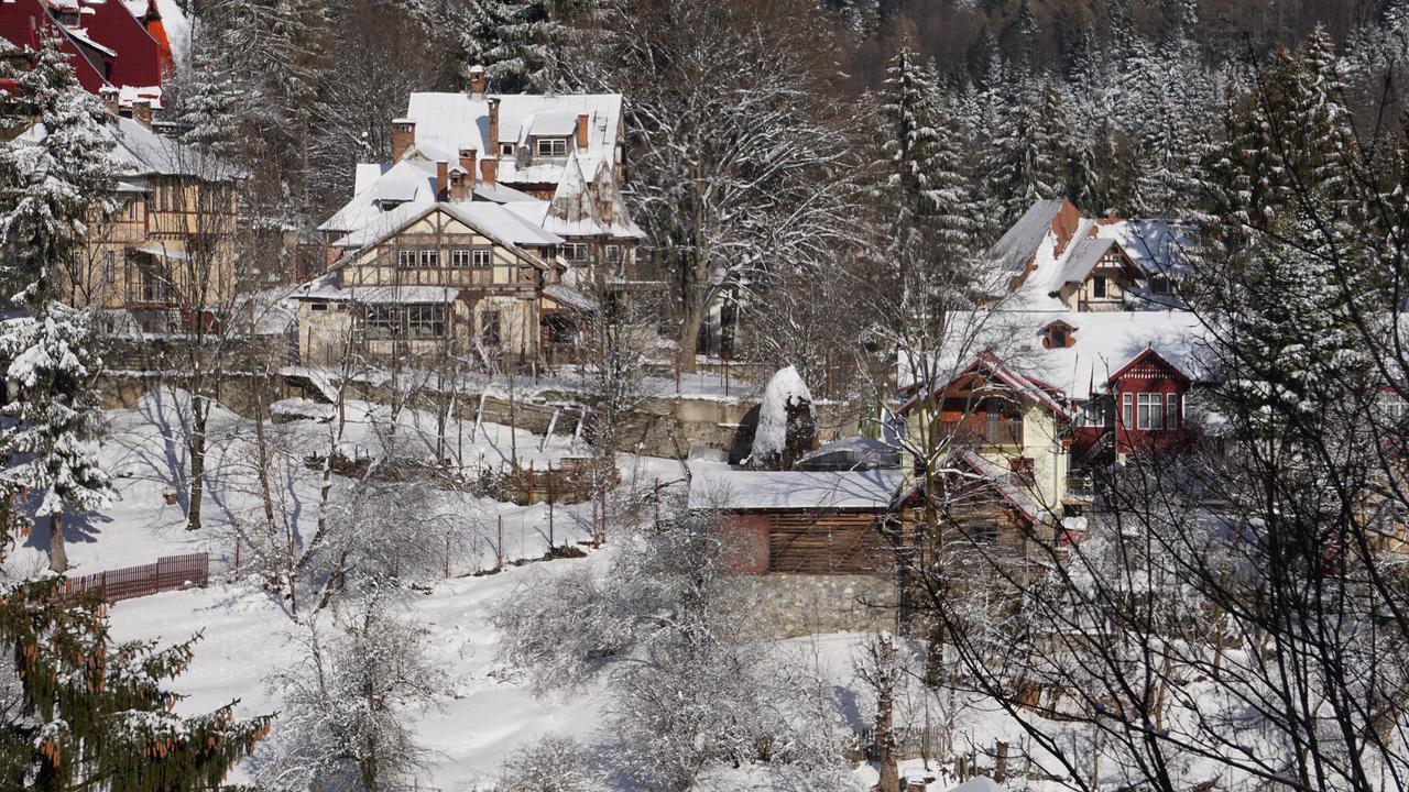 Vila Arizto Sinaia Exteriör bild