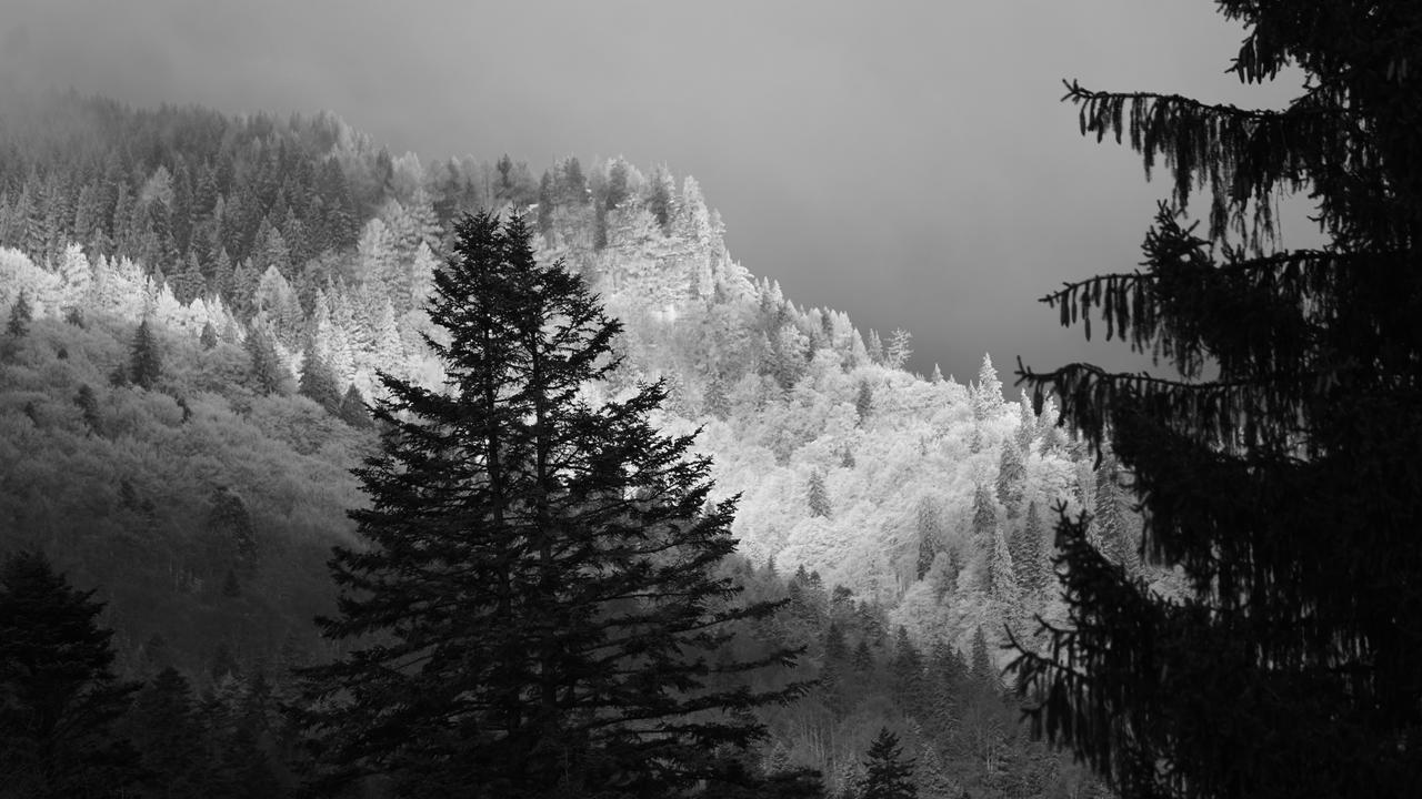 Vila Arizto Sinaia Exteriör bild